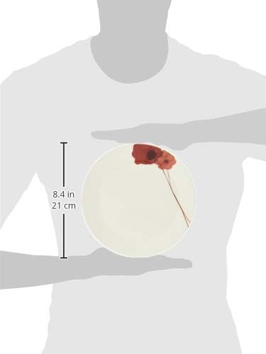 Narumi 52214-5919 Spring Field Plate Diameter 7.9 inches (20 cm) Red Anemone Cute Microwave Safe Dishwasher Safe Made in Japan