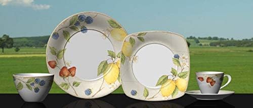 Red Vanilla Fruit 16 Piece Dinner Set with Square Salad 1 White
