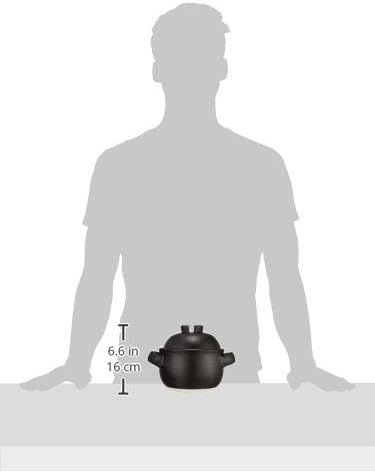 Saji Touki Rice Pot 2cup