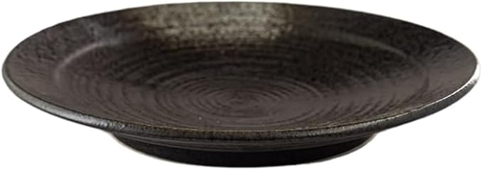 Ebros Gift Artistic Charcoal Grey Tone Hakumu Porcelain Collection Dinnerware Serveware Kitchenware Set Asian Japanese Restaurant Supply (Pack Of 5 Large Round Dinner Plates 10 D)