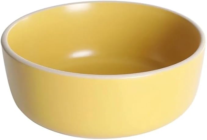 Color Matte 16-Piece Round Stoneware Dinnerware Set Dinner Plates and Dishes Kitchen Items
