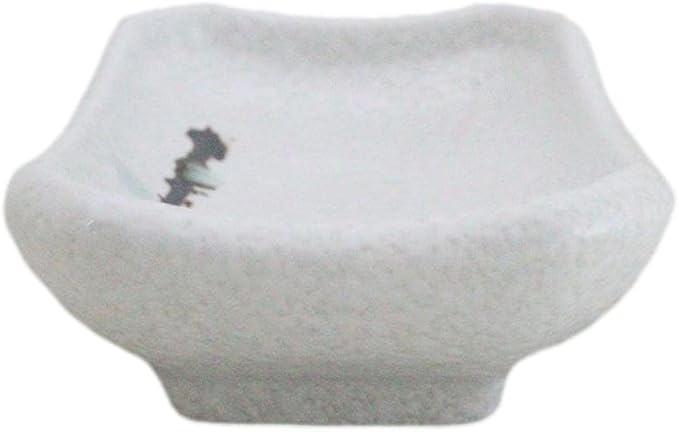 Ebros Gift Modern Yukino Hana Snow Flowers Ceramic Dinnerware Serveware Kitchenware Set Oriental Asian Restaurant Supply (Pack Of 6 Rectangle Condiment Sauce Dishes 2oz)