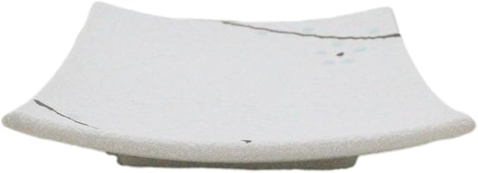 Ebros Gift Modern Yukino Hana Snow Flowers Ceramic Dinnerware Serveware Kitchenware Set Oriental Asian Restaurant Supply (Pack Of 5 Square Appetizer Dessert Salad Plates)