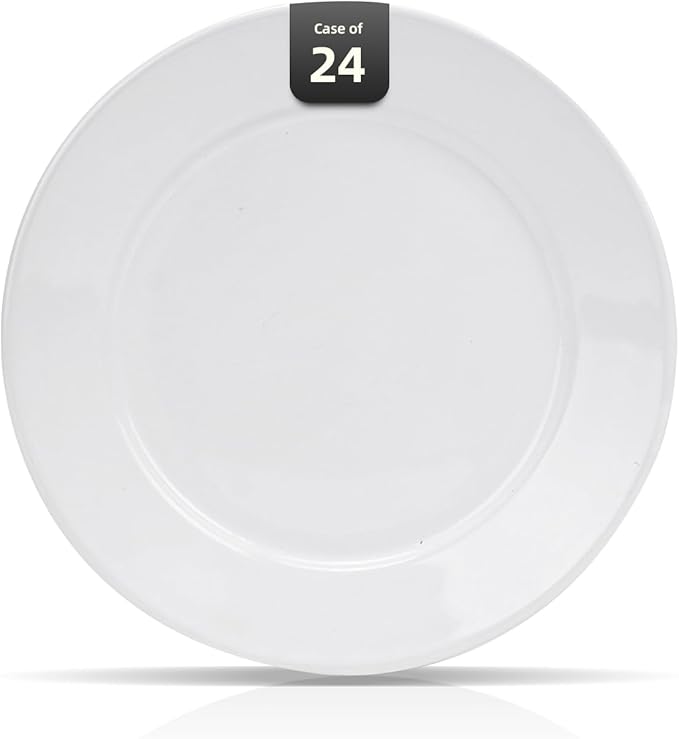 Stoneware Wide Rim Commercial Grade Dinnerware Bright white Salad Plate 8.25 Case of 24