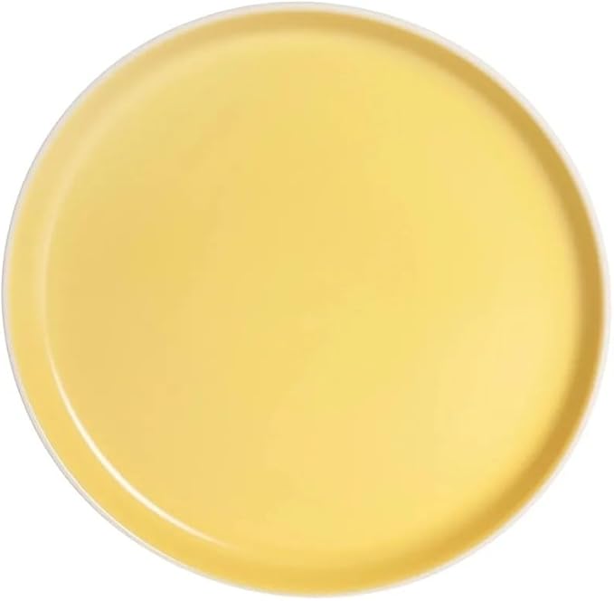 Color Matte 16-Piece Round Stoneware Dinnerware Set Dinner Plates and Dishes Kitchen Items