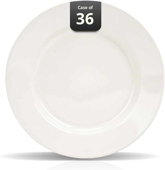 Stoneware Wide Rim Commercial Grade Dinnerware (America White Plate 6.25)