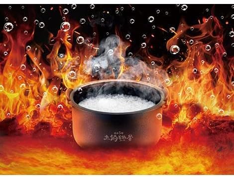 Newly released overseas rice cooker 220V-230V specification Tiger JPK-W18 10.0 cup Pressure IH Earthen pot heat storage coating Made in Japan