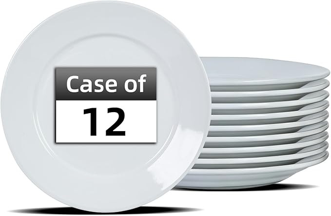 Stoneware Wide Rim Commercial Grade Dinnerware Bright white Dinner Plate 11.25 Case of 12