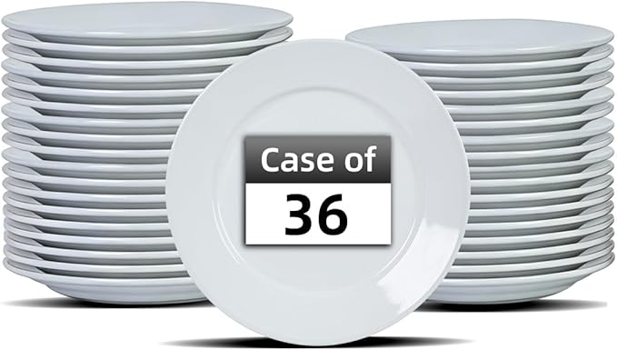 Stoneware Wide Rim Commercial Grade Dinnerware Bright white Dessert Plate 5.5 Case of 36
