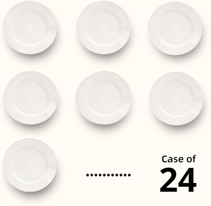 Stoneware Wide Rim Commercial Grade Dinnerware America White Plate 9 5/8 Case of 24