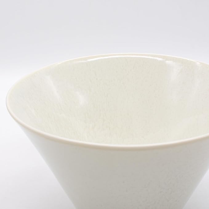 Aito Aito Seisakusho Natural Color Dinnerware Set Dishwasher-Safe Microwave Safe Ramen Donburi Large Diameter Approximately 6.7 x Depth 3.7 inches (17 x 9.4 cm) Mino Ware Stylish Bowl Plate