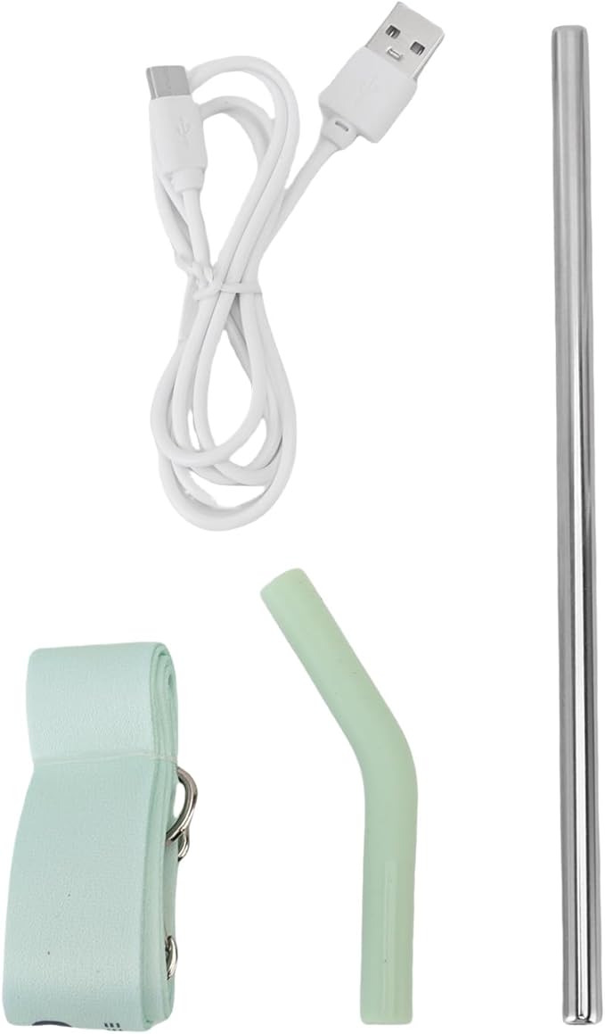 Ymiko Portable Electric Juicer Cup Rechargeable Blender Lightweight Compact Office Gym Travel (Green)