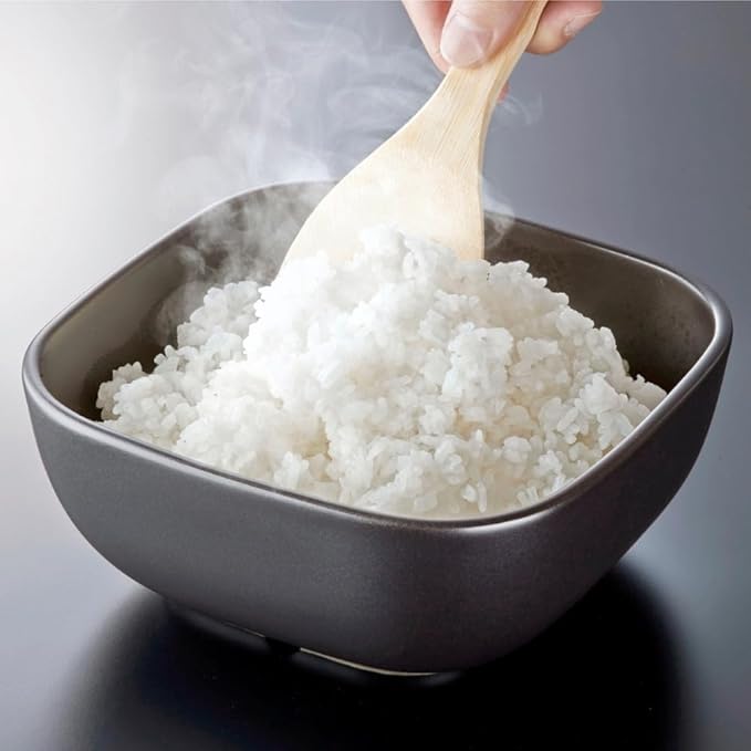 HARIO GO-2-B-W Rice Pottery Microwave Safe 2 Pieces Made in Japan