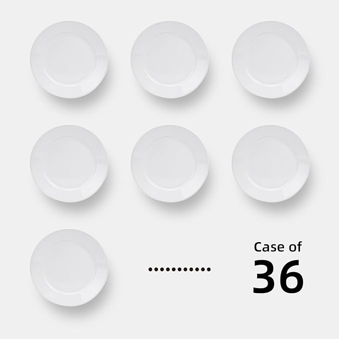 Stoneware Wide Rim Commercial Grade Dinnerware Bright white Dessert Plate 5.5 Case of 36