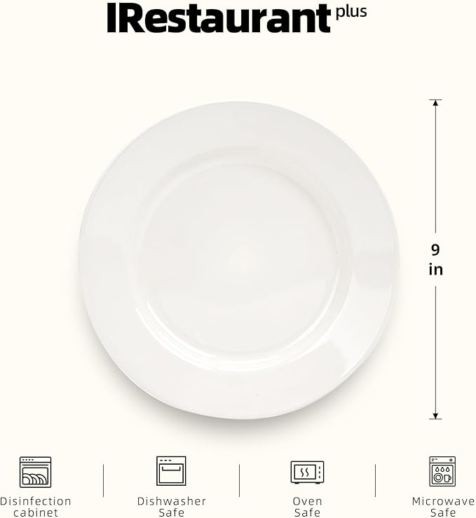 Stoneware Wide Rim Commercial Grade Dinnerware America White Plate 9 Case of 24
