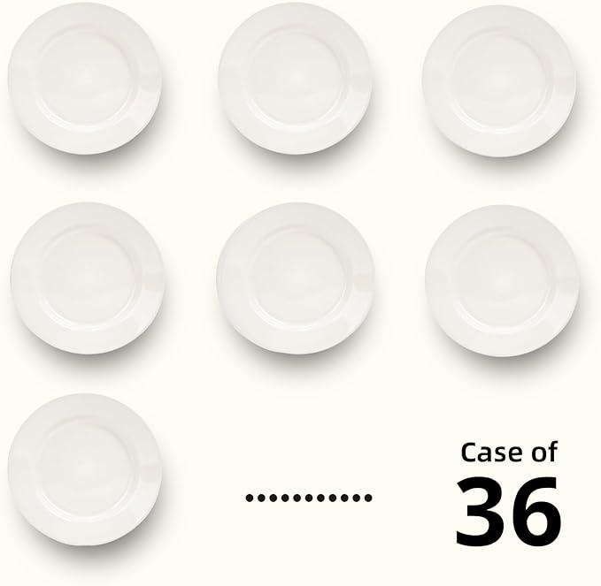 Stoneware Wide Rim Commercial Grade Dinnerware (America White Plate 6.25)
