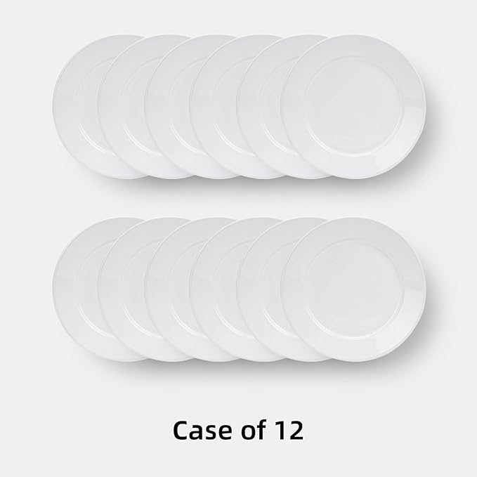 Stoneware Wide Rim Commercial Grade Dinnerware Bright white Plate 12 Case of 12