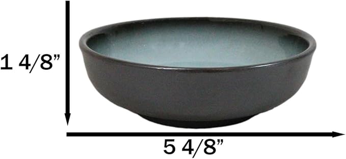 Ebros Gift Blue Sky Stars Artistic Seikai Porcelain Collection Dinnerware Serveware Kitchenware Set Asian Japanese Dining Restaurant Supply (Pack Of 5 Shallow Bowl Deep Plates 10oz)