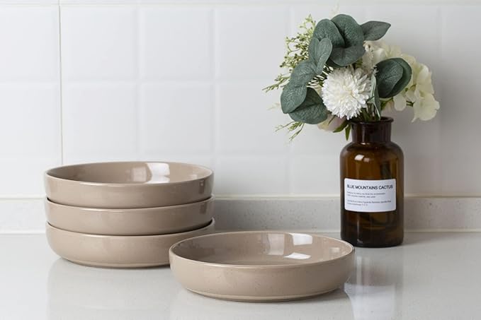 Famiware Milkyway Plates and Bowls Set For 4 16-Piece Dinnerware Sets Cinnamon Brown