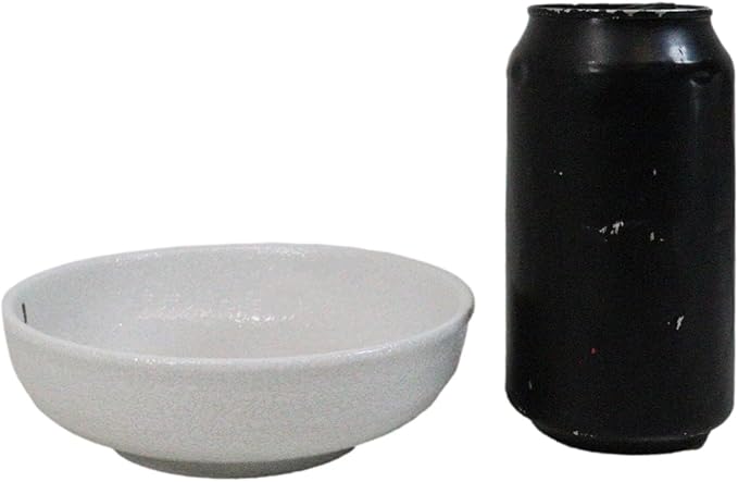 Ebros Gift Modern Yukino Hana Snow Flowers Ceramic Dinnerware Serveware Kitchenware Set Oriental Asian Restaurant Supply (Pack Of 5 Soup Salad Rice Shallow Bowls Deep Plates 10oz)