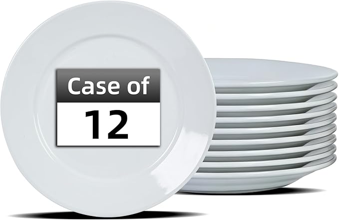 Stoneware Wide Rim Commercial Grade Dinnerware Bright white Plate 12 Case of 12