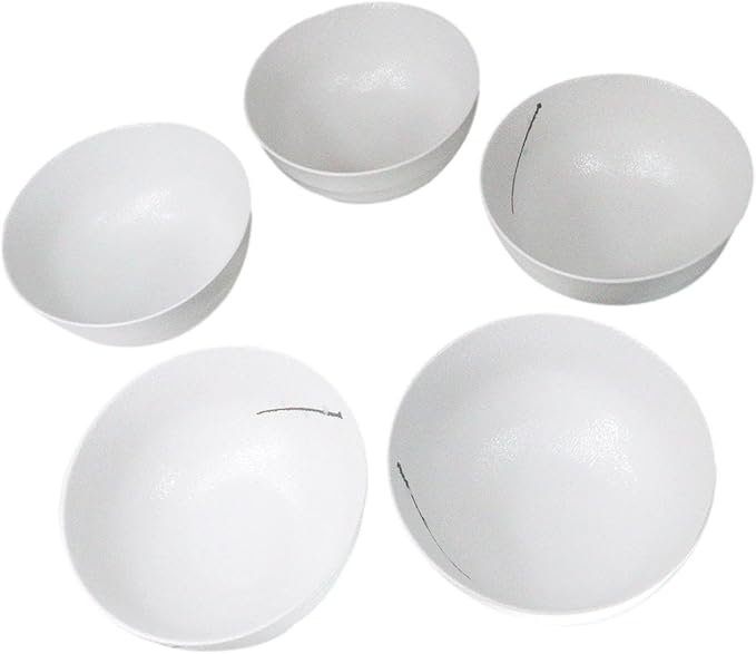 Ebros Gift Modern Yukino Hana Snow Flowers Ceramic Dinnerware Serveware Kitchenware Set Oriental Asian Restaurant Supply (Pack Of 5 Medium Soup Salad Rice Bowls 24oz)