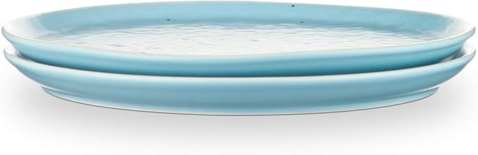 Stone lain Elena Stoneware Dish Set 4 Salad Plates Blue