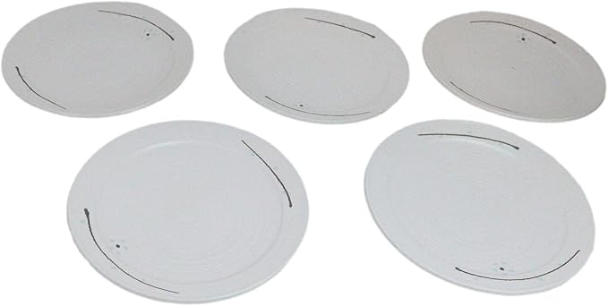 Ebros Gift Modern Yukino Hana Snow Flowers Ceramic Dinnerware Serveware Kitchenware Set Oriental Asian Restaurant Supply (Pack Of 5 Large Round Dinner Plates 10D)