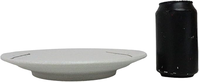 Ebros Gift Modern Yukino Hana Snow Flowers Ceramic Dinnerware Serveware Kitchenware Set Oriental Asian Restaurant Supply (Pack Of 5 Large Round Dinner Plates 10D)
