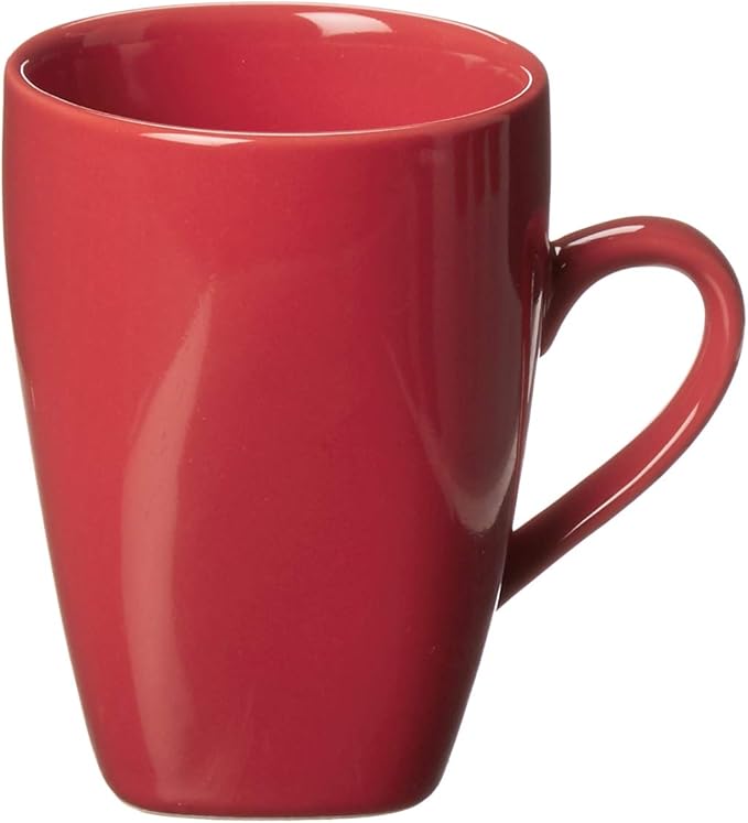 10 Strawberry Street Nova Square 16 pc Dinnerware Set Red