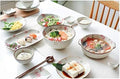 Porcelain Dinnerware Sets Plates and Bowls Sets Durable Kitchen Dinnerware Set BPA-Free Dishwasher Safe Plates and Bowls Set for Picnic RV Use