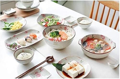Porcelain Dinnerware Sets Plates and Bowls Sets Durable Kitchen Dinnerware Set BPA-Free Dishwasher Safe Plates and Bowls Set for Picnic RV Use