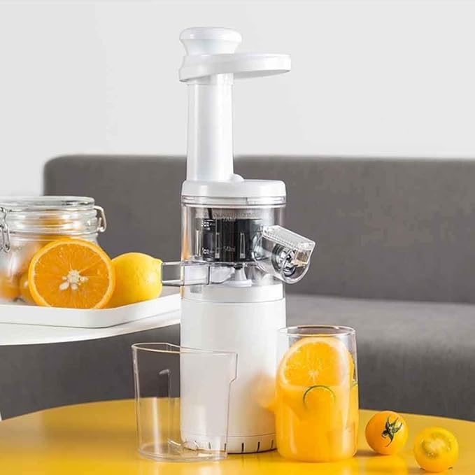 Portable Electric Juicer Blender Water Free Juicer Masticating Slow Auger Juicer Machine Fruit Vegetable