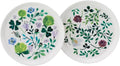 Narumi 96604-23163P Anna Emilia Plate Set 6.3 inches (16 cm) Green Set of 2 Patterns Cute Microwave Heater Dishwasher Safe Gift Box Included