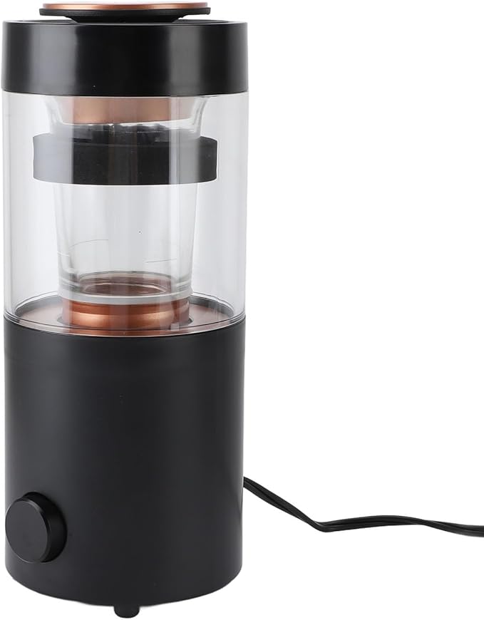 Coffee Roaster Home Coffee Bean Roasting Machine with Timer Stainless Steel Transparent Glass Automatic and DIY Mode 100g per Use Mother s Day Gift for Coffee Lovers Friends 1300W