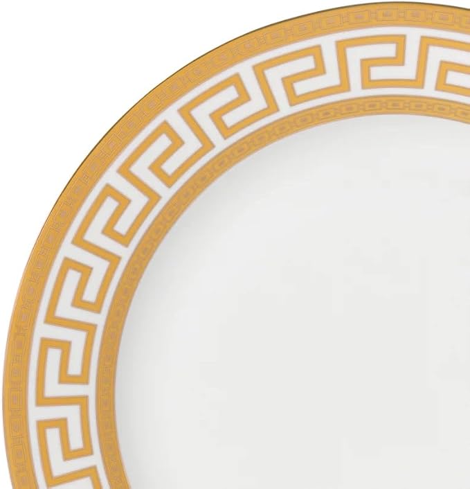 GP1347-20G 20 PCs Fine Porcelain Dinnerware Set Tableware Set with Antique Greek Pattern Set for 4