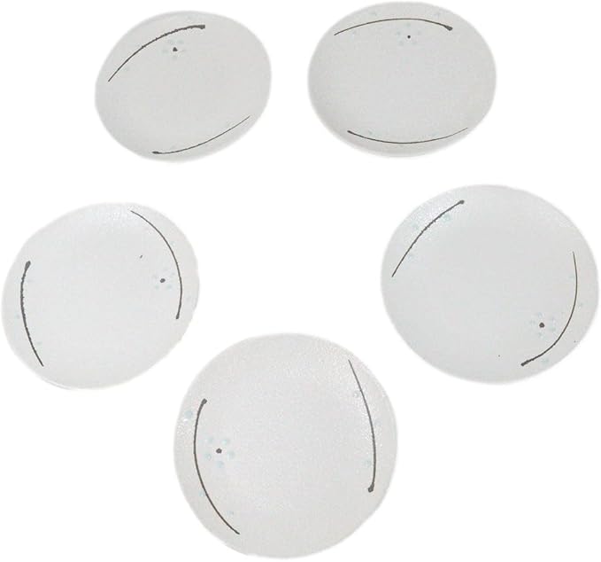 Ebros Gift Modern Yukino Hana Snow Flowers Ceramic Dinnerware Serveware Kitchenware Set Oriental Asian Restaurant Supply (Pack Of 5 Round Appetizer Salad Plates 6D)