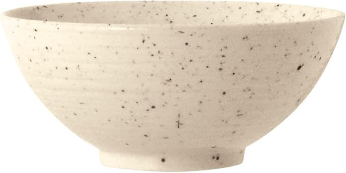 Sango Siterra Painter's Palette 20-Piece Stoneware Dinnerware Set – Service for 4 Multicolor with Unique Flecked Design Perfect for Everyday Dining &amp Entertainment Microwave &amp Dishwasher Sa