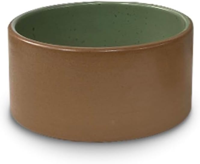 Artesa Organics Landscape Terrario Ceramic Dinnerware Set Handmade 6-Piece Place Setting with Dinner Plates Salad Plates Mugs Microwave Safe