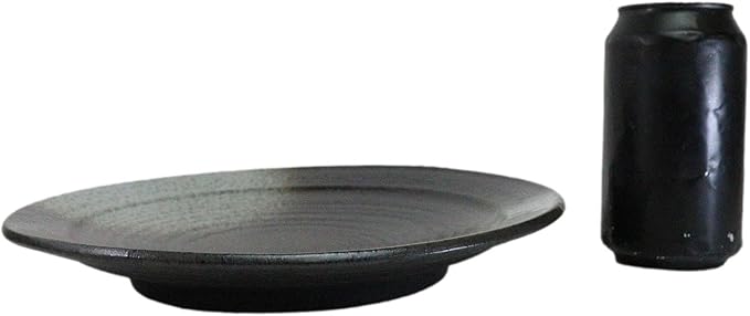 Ebros Gift Artistic Charcoal Grey Tone Hakumu Porcelain Collection Dinnerware Serveware Kitchenware Set Asian Japanese Restaurant Supply (Pack Of 5 Large Round Dinner Plates 10 D)