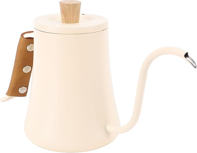 Zerodis Coffee Makers Coffee Cups Pour Over Tea Pot with Cover Ergonomic Handle 600ml Large Capacity Stainless Steel Brewer Accurate Pouring for Hot Cold Drink 10.2x5.5in