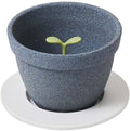 Ash Concept (H Concept) Kinome DA-1320 Semic Coffee Filter - Gray - 1 Count - Ceramic - Small Beans - Coffee Maker - Coffee