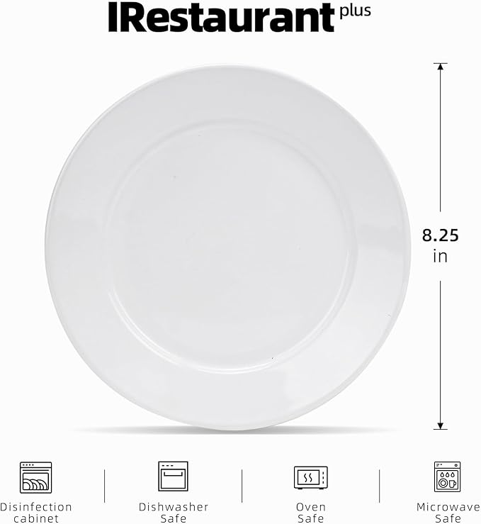 Stoneware Wide Rim Commercial Grade Dinnerware Bright white Salad Plate 8.25 Case of 24