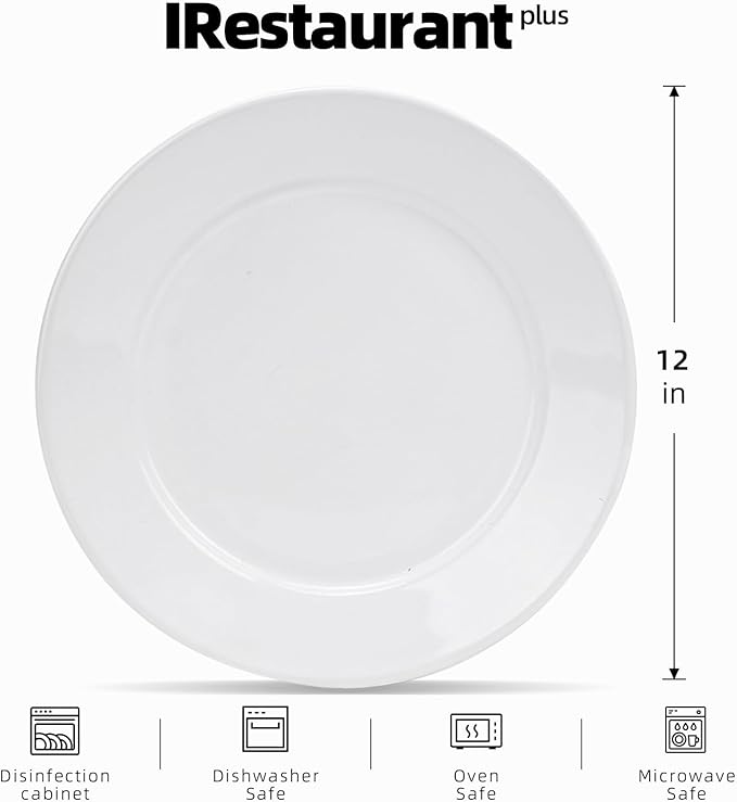 Stoneware Wide Rim Commercial Grade Dinnerware Bright white Plate 12 Case of 12