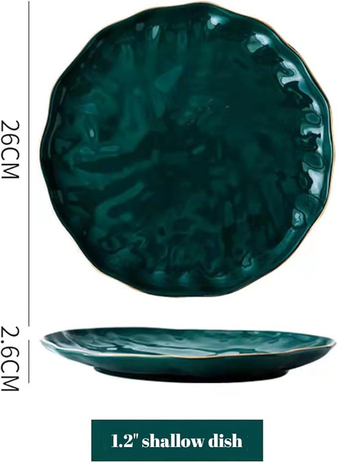 Ceramic Dinner Plates Set of 4 10 inch Dish Set - Microwave Oven and Dishwasher Safe Scratch Resistant Modern Rustic Dinnerwar