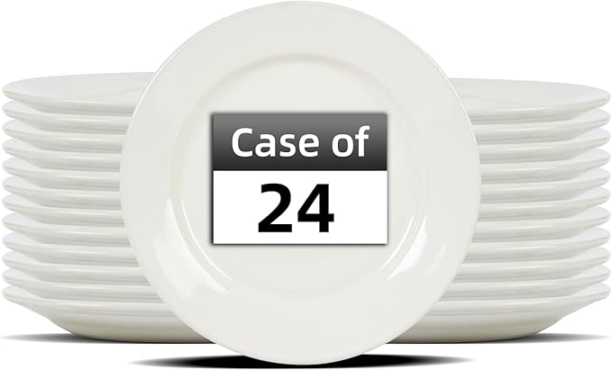 Stoneware Wide Rim Commercial Grade Dinnerware America White Plate 9 5/8 Case of 24