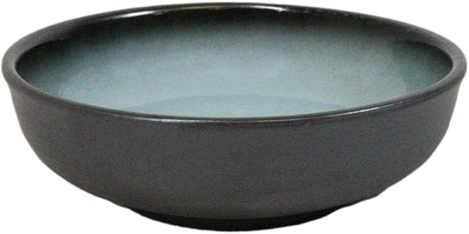 Ebros Gift Blue Sky Stars Artistic Seikai Porcelain Collection Dinnerware Serveware Kitchenware Set Asian Japanese Dining Restaurant Supply (Pack Of 5 Shallow Bowl Deep Plates 10oz)