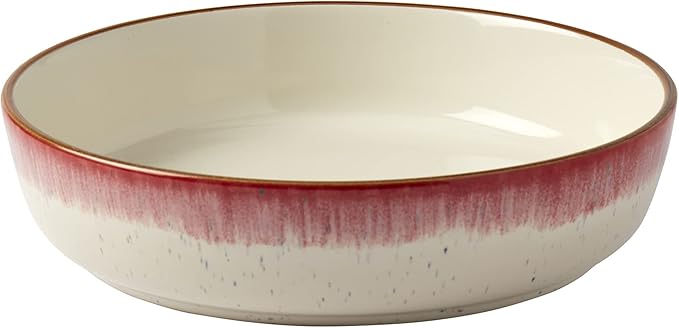 Tabletops Gallery Speckled Farmhouse Collection- Stoneware Dishes Service for 4 Dinner Salad Appetizer Dessert Plate Bowls 12 Piece Hanover Dinnerware Set in Berry