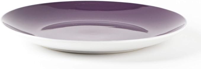 Stoneware Coupe Shape Dinner Plate - 10.5 inch - Set of 6 Violet