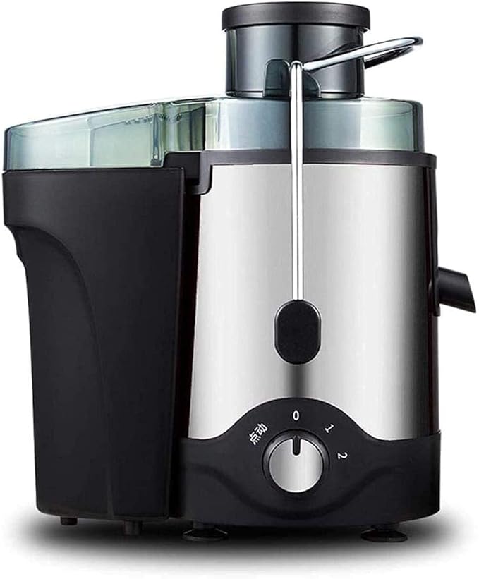 Multifunctional Electric Juicer Extractor Cold Press Juicer with 2-Speed Control 600ml 250W BPA-Free